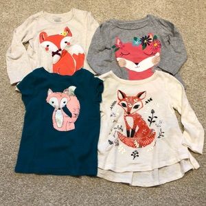 Foxhunter’s 18 month Bundle